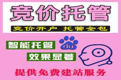 成功案例揭秘：百度竞价账户托管的运营之道